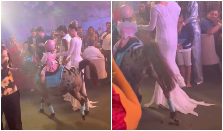 Filha de Virgínia Fonseca entra na festa de aniversário montada em pônei e vídeo mostra o que o animal fez