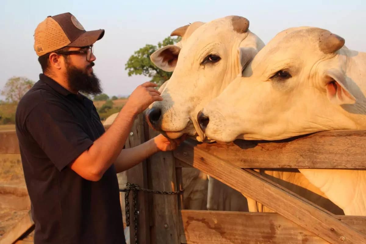 (Fazenda Terra Prometida | Foto: Divulgação)