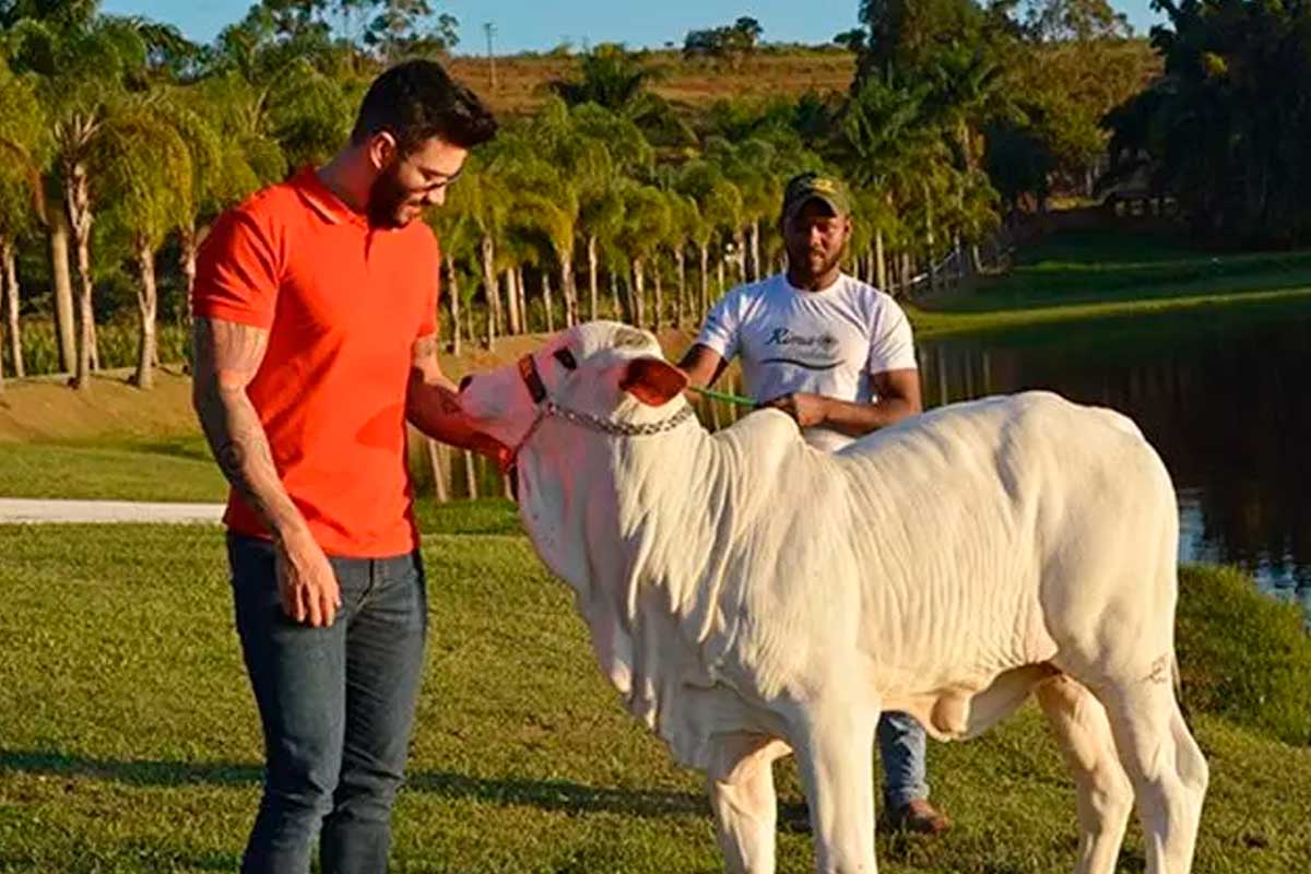 ( Fazenda Gusttavo Lima | Foto: Reprodução Instagram)