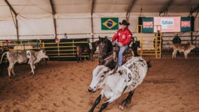 Assista a classificatória do Ranch Sorting