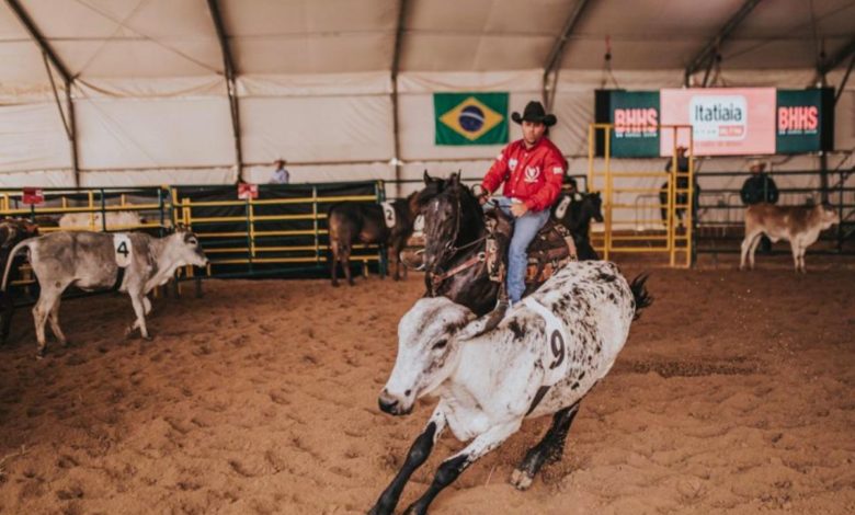 Assista a classificatória do Ranch Sorting