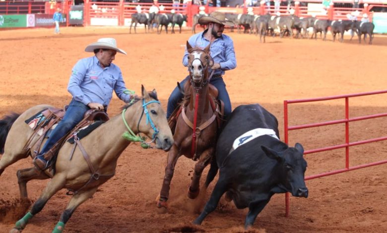 Assista a classificatória Team Penning