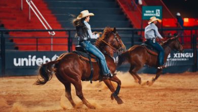 confira a programação de rodeio de hoje (19)