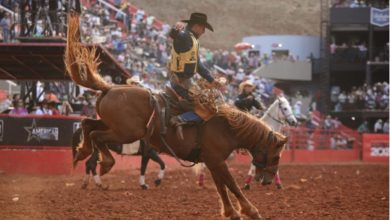 confira a programação de rodeio desta sexta (18)