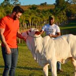 Fazenda do cantor sertanejo Gusttavo Lima (Foto: Reprodução Instagram)