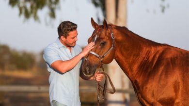 Wesley Safadão ostenta cavalo de R$ 5 milhões em fazenda