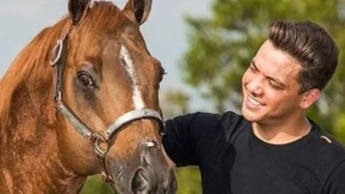 Haras WS: A joia rara de Wesley Safadão no coração do Ceará