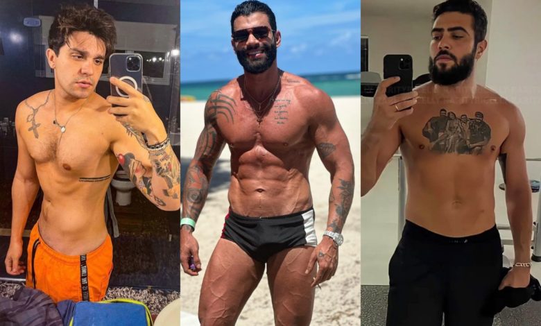 Ai, que delícia o verão: 10 vezes que cantores sertanejos levaram fãs à loucura com fotos sensuais