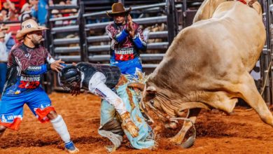 Rodeio no MT quase acaba em tragédia com peão preso em boi