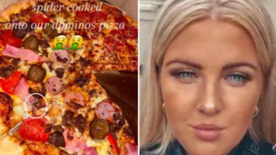 Mulher viraliza ao mostrar aranha encontrada em pizza: “Fiquei com muita raiva”