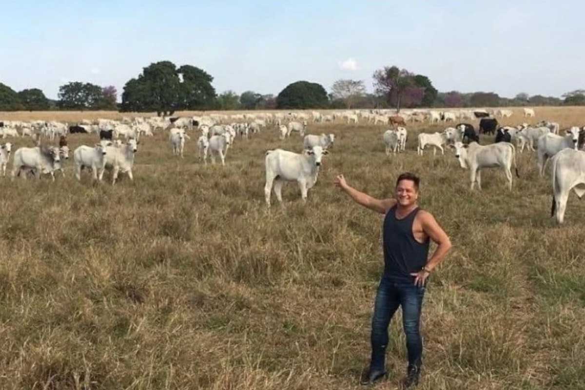 Confira as fotos da fazenda "Talismã" (Foto: Divulgação)