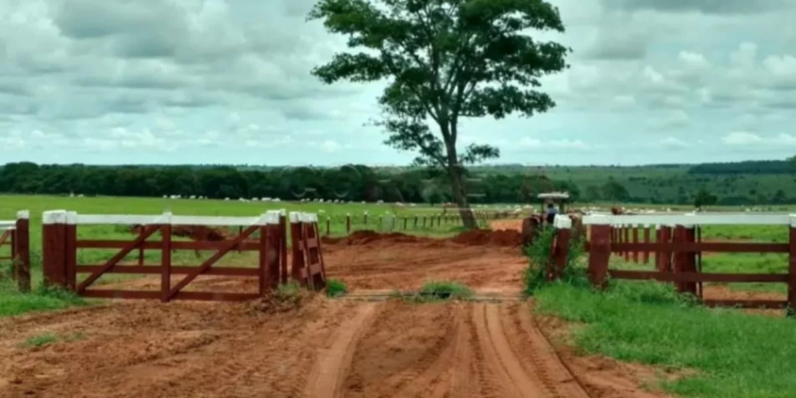 Fazenda do cantor Marrone