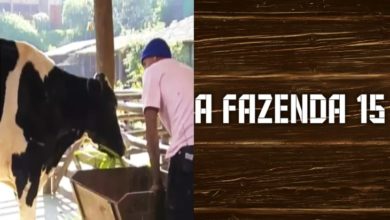 Participante perde a paciência e xinga animal em A Fazenda 15; atitude infringe uma regra do programa