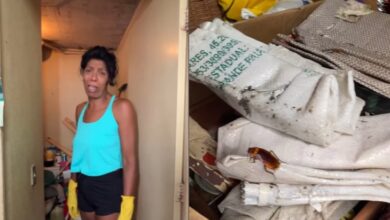 Marcia Fu surge faxinando casa de situação deplorável e desabafa: ‘estou incrédula’