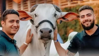 Conheça o Império rural da dupla sertaneja Henrique e Juliano