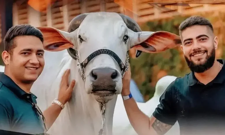 Conheça o Império rural da dupla sertaneja Henrique e Juliano