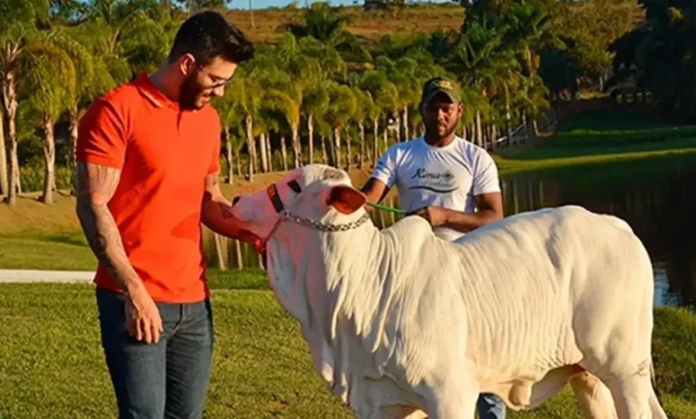 Conheça a fazenda de Gusttavo Lima avaliada em R$ 275 milhões