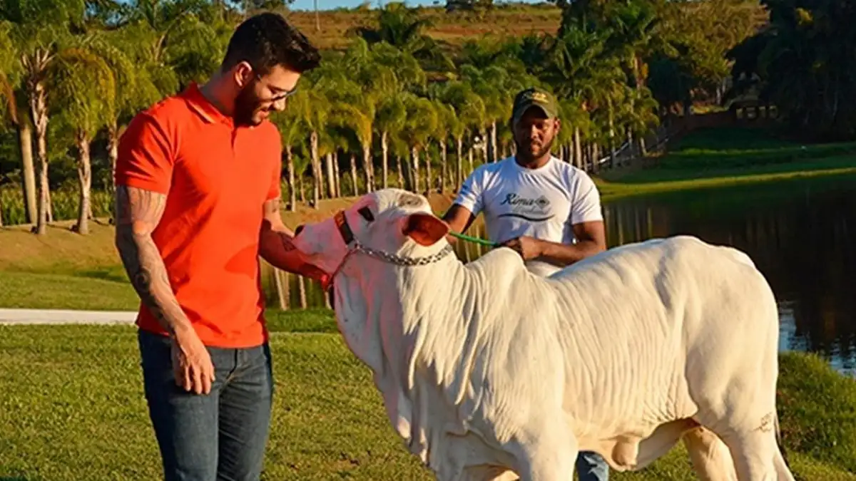 Conheça a fazenda avaliada em R$ 275 milhões do cantor sertanejo Gusttavo Lima (Foto: Reprodução Instagram)