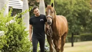 Wesley Safadão é dono do cavalo mais caro do Brasil