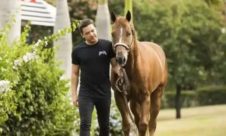 Wesley Safadão é dono do cavalo mais caro do Brasil