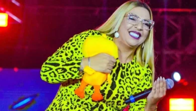 Cantora abandona título de “cover oficial de Marília Mendonça”