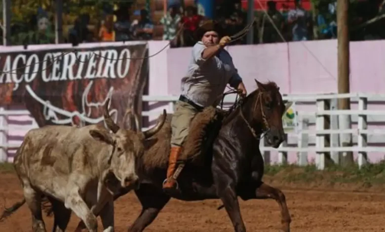 Rodeio Internacional do Conesul 2024; Assista ao vivo