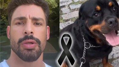 ‘Nunca pensei que seria tão triste’: Cauã Reymond posta vídeo após morte por envenenamento de seu cão