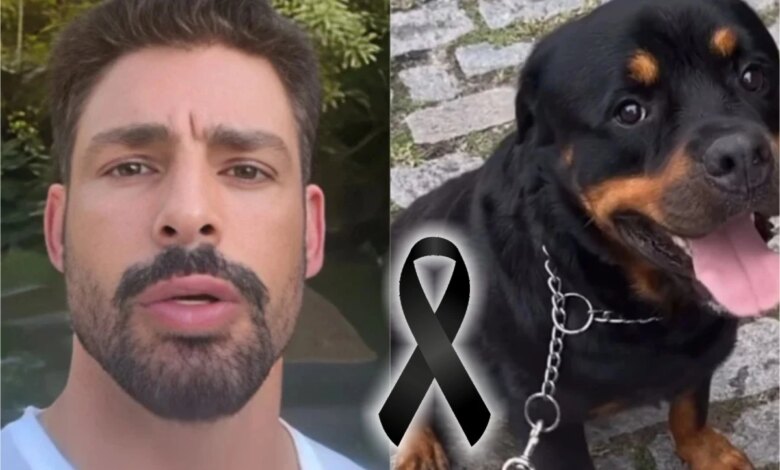 ‘Nunca pensei que seria tão triste’: Cauã Reymond posta vídeo após morte por envenenamento de seu cão